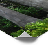 Oude Olmec Hoofd 2 Poster (Hoek)