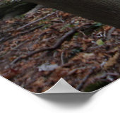 Oude omgevallen boom in het diepe bos in najaarsfa poster (Hoek)