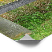 Oude omheining poster (Hoek)