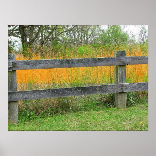 Oude omheining poster (Voorkant)