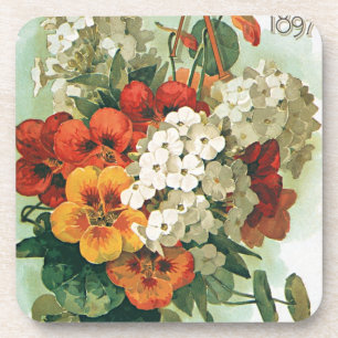 Oude omslagillustratie van Eastman's zaadcatalogus Onderzetter