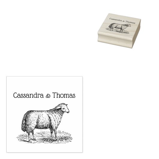 Oude Ooien Boerderij Dieren Tekening C Koppel Rubberstempel (Gestempeld)