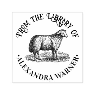 Oude Ooien Schapen Boerderij Dieren Bibliotheek Bo Zelfinktende Stempel