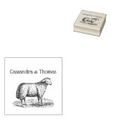 Oude Ooien Schapen Boerderij Dieren Tekening C Kop Rubberstempel (Gestempeld)