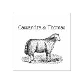 Oude Ooien Schapen Boerderij Dieren Tekening C Kop Rubberstempel (Afrduk)