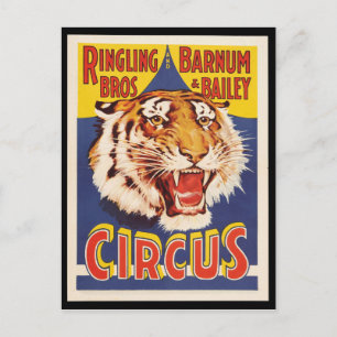 Oude originele vintage tijgercircus poster 1900 briefkaart