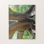 Oude oude 200-jarige boom - Bangalore Garden. Legpuzzel (Verticaal)