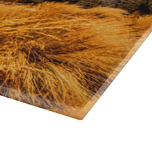 Oude Oude Kerk op de vlakken Snijplank (Hoek)