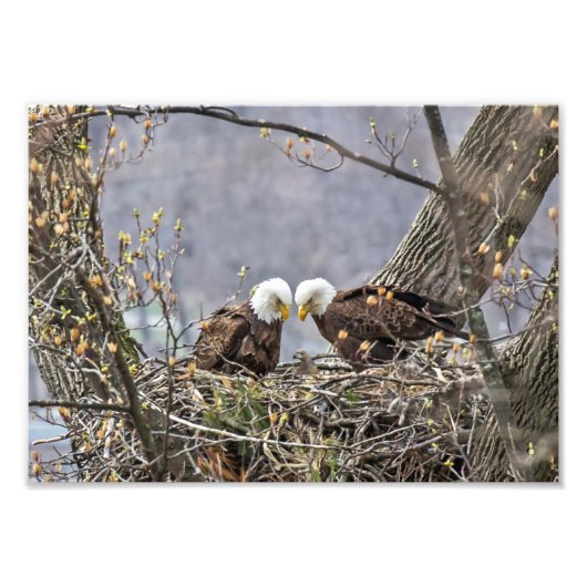 Oude ouders foto afdruk (Voorkant)