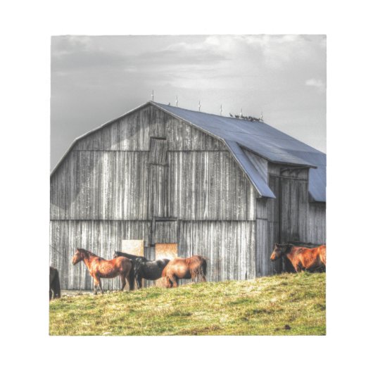 oude paardenschuur notitieblok (Voorkant)