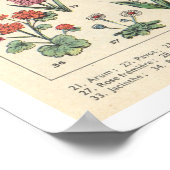 Oude Paarse Bloemen Poster (Hoek)