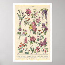 Oude Paarse Bloemen Poster