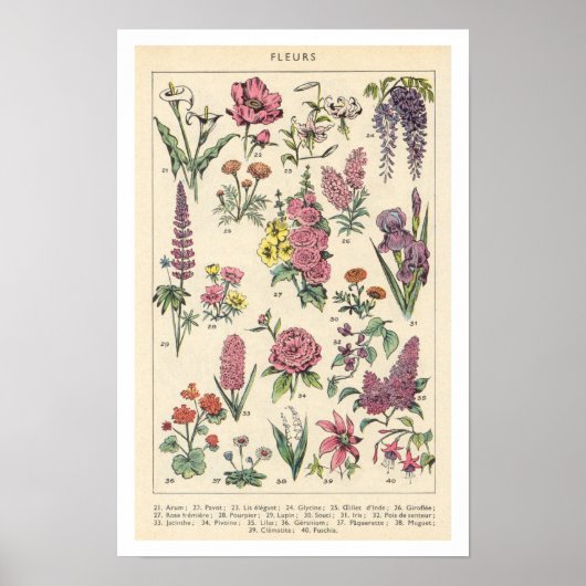Oude Paarse Bloemen Poster (Voorkant)