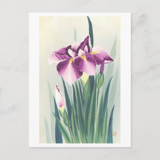 Oude paarse iris uit Japan Briefkaart (Voorkant)