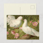 Oude Paasduiven en Roze Rozen Briefkaart (Voorkant / Achterkant)
