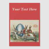 Oude Paashaas Bloemen Auto Ei (Voorkant)