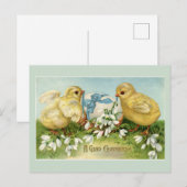 Oude Paaskuikens Briefkaart (Voorkant / Achterkant)