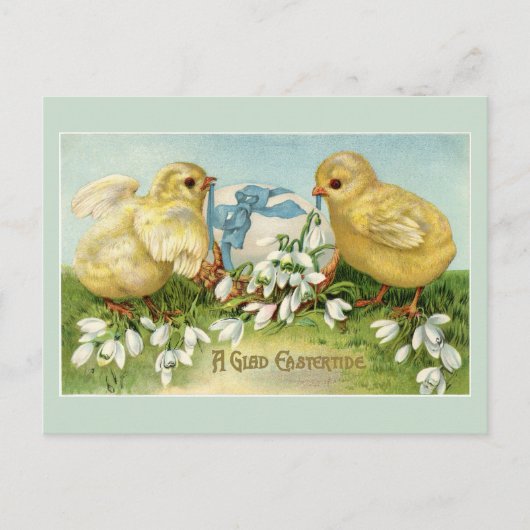 Oude Paaskuikens Briefkaart (Voorkant)