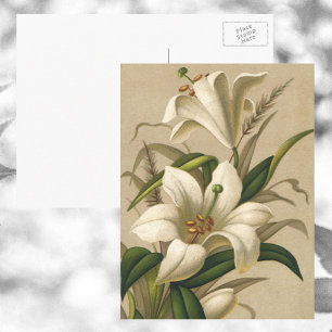 Oude Paaslelies, Victoriaanse Bloemen in Bloei Briefkaart