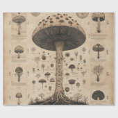 Oude Paddenstoel Botanische Grafiek (10) Cadeaupapier (Vlak)