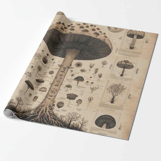 Oude Paddenstoel Botanische Grafiek (10) Cadeaupapier (Uitgerold)