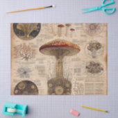 Oude Paddenstoel Botanische Grafiek (2) Tissuepapier (Craft)