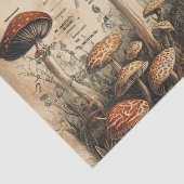 Oude Paddenstoel Botanische Grafiek (4) Tissuepapier (Detail)