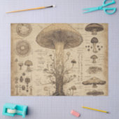Oude Paddenstoel Botanische Grafiek (5) Tissuepapier (Craft)