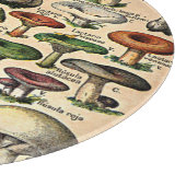 Oude Paddenstoel Illustraties Glas Snijplank (Hoek)