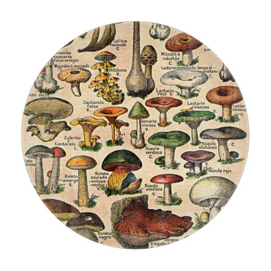 Oude Paddenstoel Illustraties Glas Snijplank (Voorkant)