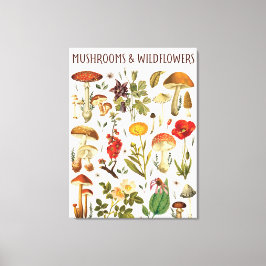 Oude Paddenstoelen en Wilde Bloemen Grafiek Canvas Afdruk