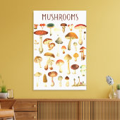 Oude Paddenstoelenkaart  Canvas Afdruk (Insitu (Woonkamer))