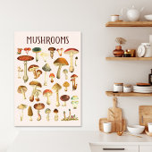Oude Paddenstoelenkaart  Canvas Afdruk