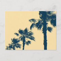 Oude Palmbomen