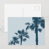 Oude Palmbomen Briefkaart (Voorkant / Achterkant)