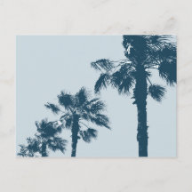 Oude Palmbomen