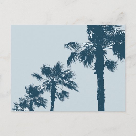 Oude Palmbomen Briefkaart (Voorkant)