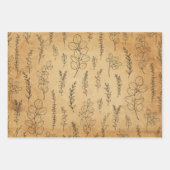 Oude papiertextuur en -lijnkunst Eucalyptus Inpakpapier Vel (Voorkant 3)