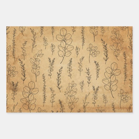 Oude papiertextuur en -lijnkunst Eucalyptus Inpakpapier Vel (Voorkant 3)
