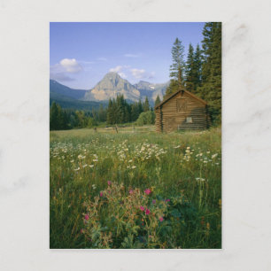 Oude Park Service-hut in de Cut Bank-vallei Briefkaart