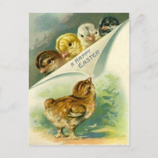 Oude Pasen Kuikens Pasen Kaart (Voorkant)
