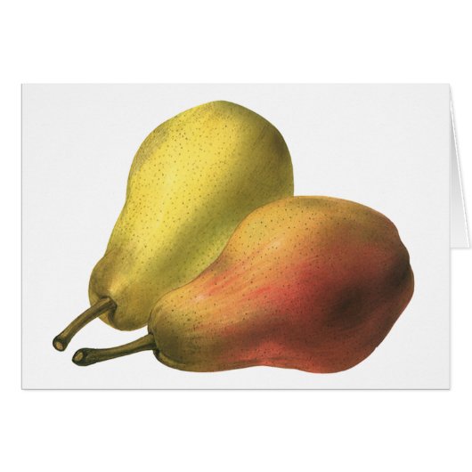 Oude Peren, Biologisch Voedsel, Rijp Fruit (Voorkant Horizontaal)