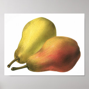 Oude peren, biologisch voedsel, rijp fruit poster