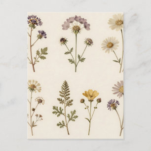 Oude pers botanisch patroon van wilde bloemen briefkaart