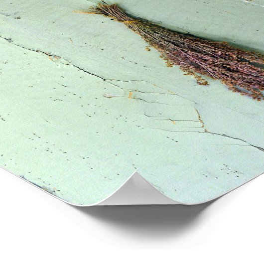 Oude Petten Poster (Hoek)