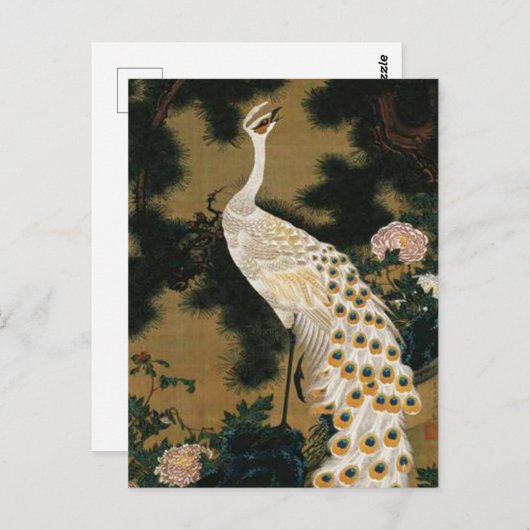 Oude pijnboom en pacock van Ito Jakuchu Briefkaart (Voorkant / Achterkant)
