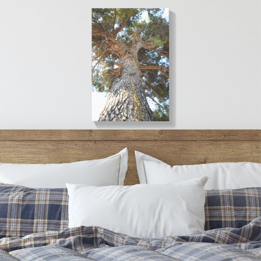 Oude pine canvas afdruk (Insitu (Slaapkamer))