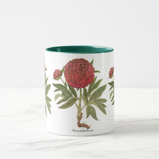 Oude Pioenrozen, Pioenbloemen door Basilius Besler Mok (Midden)