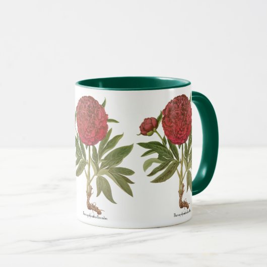 Oude Pioenrozen, Pioenbloemen door Basilius Besler Mok (Voorkant rechts)