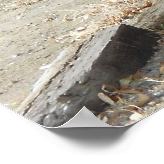 Oude Pioneer Wagon Wall Poster (Hoek)